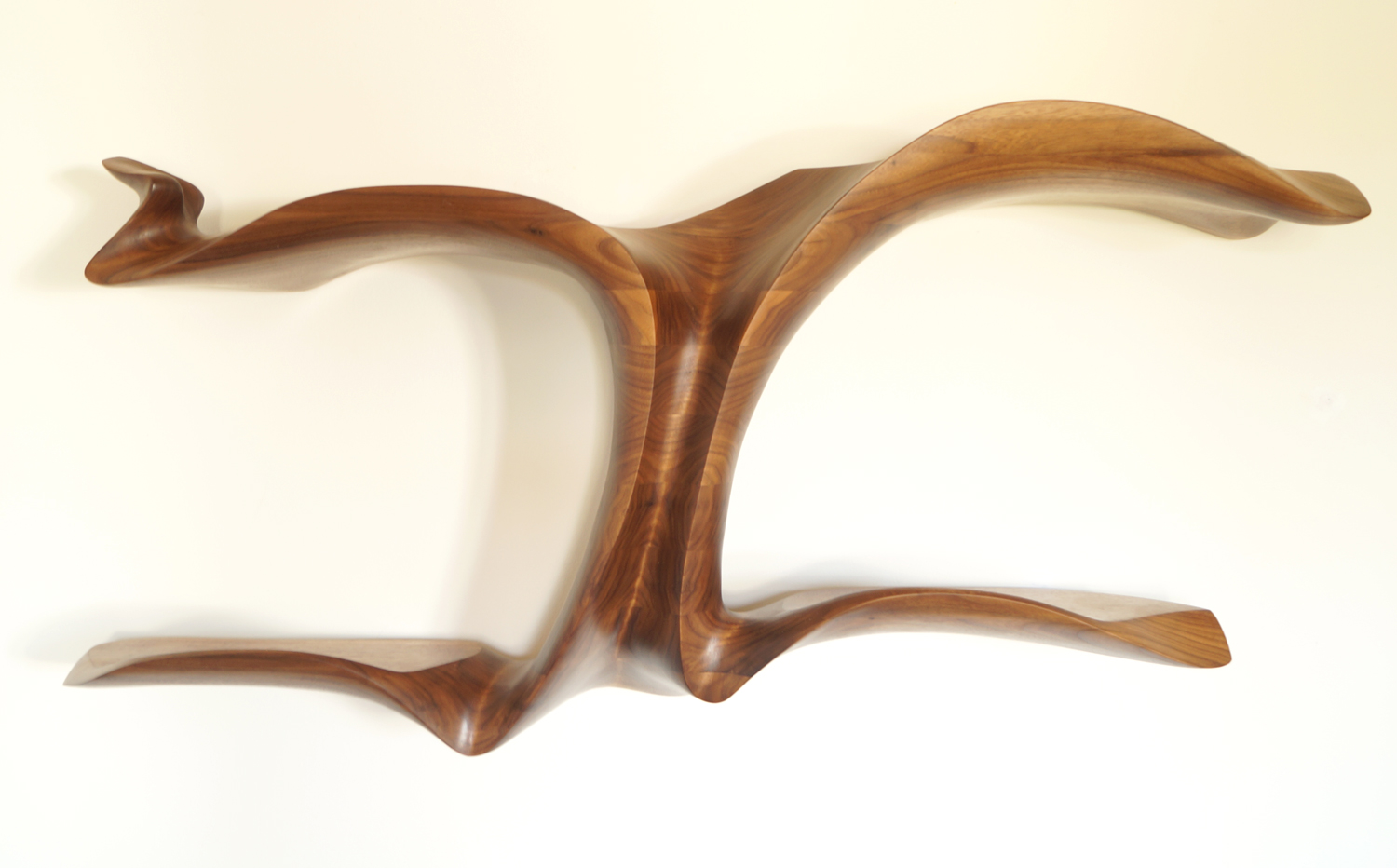 Columnea Shelf VII