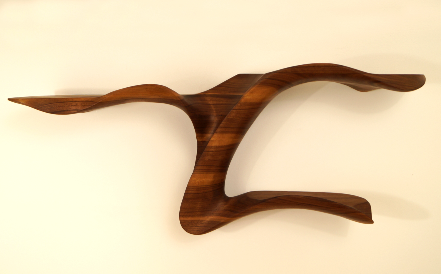 Columnea Shelf VI