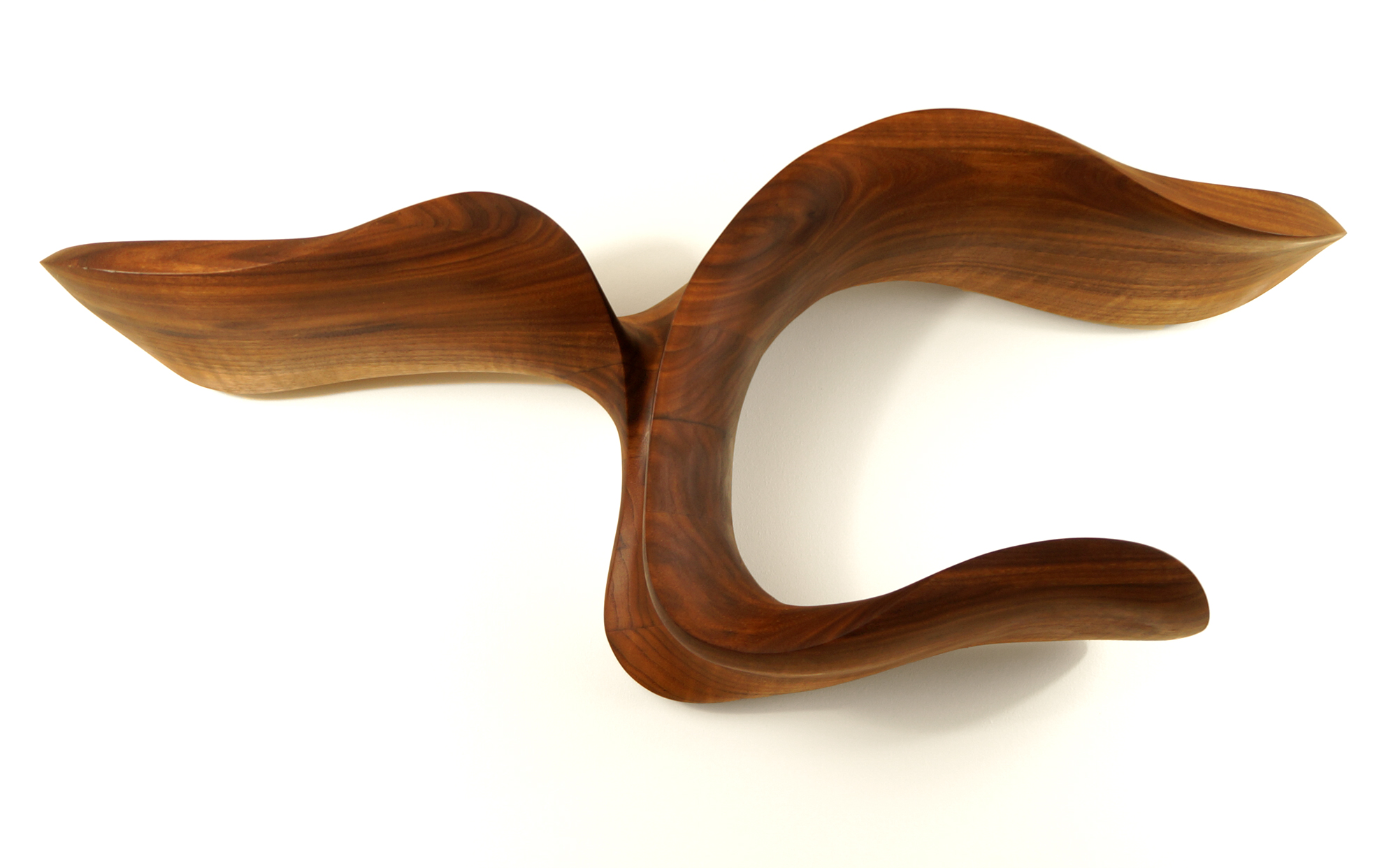 Columnea Shelf I