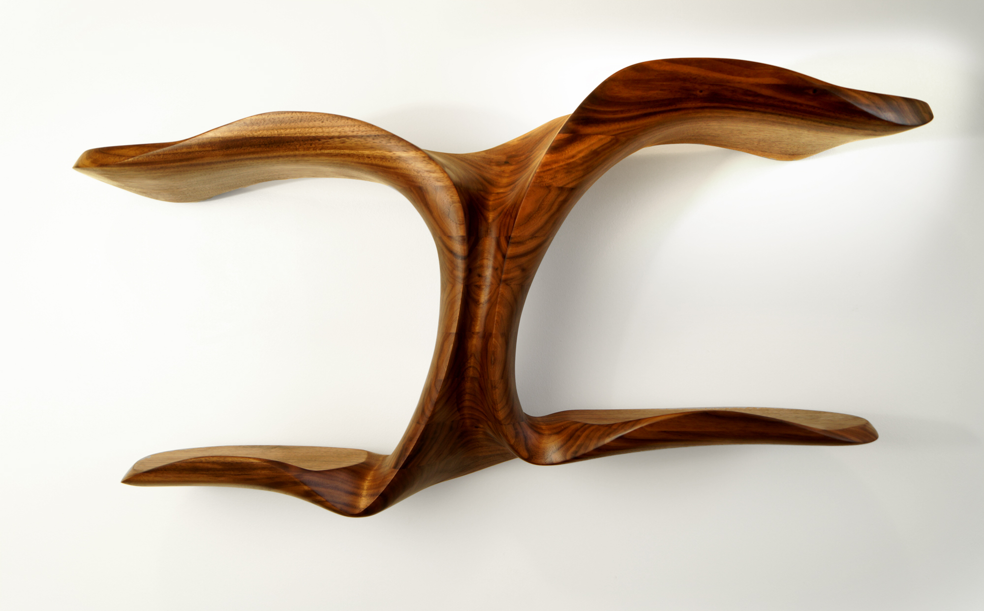 Columnea  Shelf III