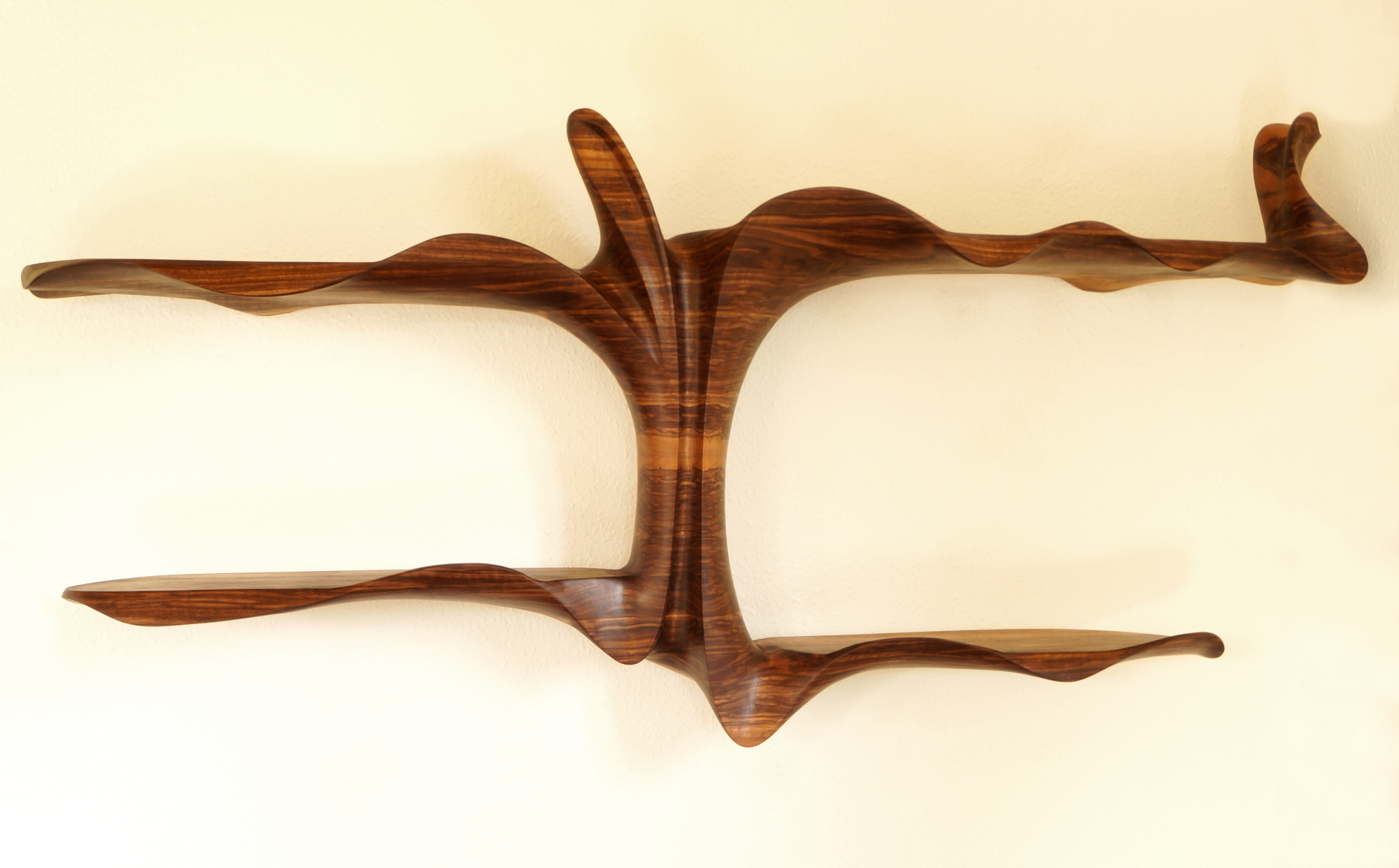 Columnea Shelf VIII
